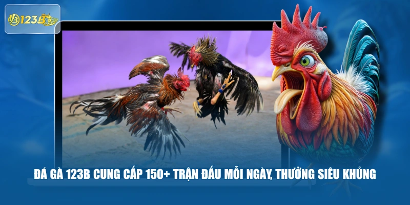 Đá Gà 123B Cung Cấp 150+ Trận Đấu Mỗi Ngày, Thưởng Siêu Khủng