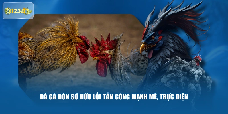 Đá Gà Đòn Sở Hữu Lối Tấn Công Mạnh Mẽ, Trực Diện