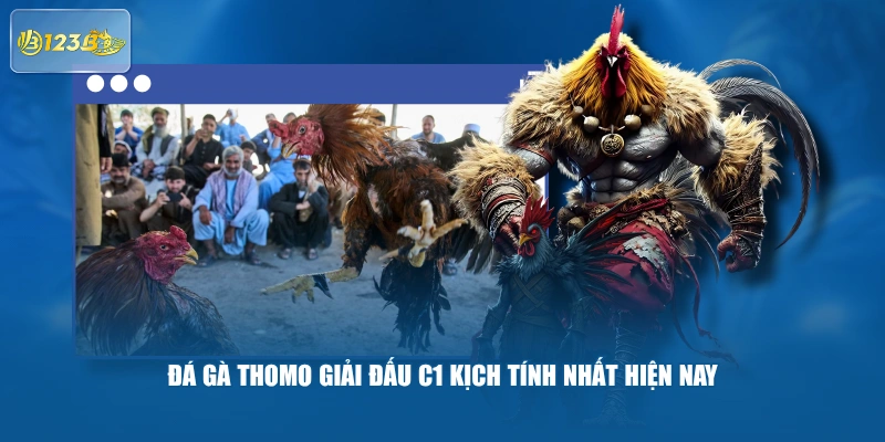 Đá Gà Thomo Giải Đấu C1 Kịch Tính Nhất Hiện Nay